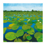 Waterlilies Prints by Alexander Hamawi