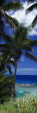 Palm Trees on Island Coast, Blue Ocean Water, Nive Island, South Pacific Photographic Print by Panoramic Images