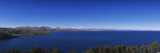 Trees at the Lakeside, Lake Titicaca, Copacabana, Bolivia Photographie par Panoramic Images 
