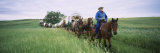 Historical Reenactment of Covered Wagons in a Field, North Dakota, USA Lámina fotográfica por Panoramic Images Historical Reenactment of Covered Wagons in a Field, North Dakota, USA Lámina fotográfica por Panoramic Images