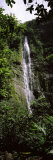 Waterfall in a Forest, Waimoku Falls, Haleakala National Park, Maui, Hawaii, USA Photographic Print by Panoramic Images