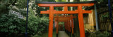 Torii Gates in a Park, Ueno Park, Taito, Tokyo Prefecture, Kanto Region, Japan Photographic Print by Panoramic Images 