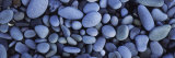 View of Pebbles, Sandymouth Beach, Cornwall, England Photographie par Panoramic Images 