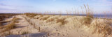Sand Dunes on the Beach, Anastasia State Recreation Area, St. Augustine, Florida, USA Photographic Print by Panoramic Images 