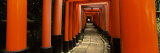 Torii Gates of a Shrine, Fushimi Inari-Taisha, Fushimi Ward, Kyoto, Honshu, Japan Photographic Print by Panoramic Images 