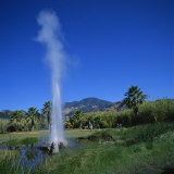 Old Faithful Geyser at Calistoga, Napa Valley, California, USA Photographie par Christopher Rennie