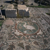 Bird Mosaic on Floor of Roman Basilica of the 5th Century AD in Soli, Soli, North Cyprus Photographie par Christopher Rennie