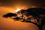 African Sky Foto African Sky Foto