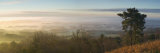 Misty Winter Sunrise from Leith Hill, North Downs, Surrey, England, United Kingdom, Europe Lámina fotográfica por John Miller