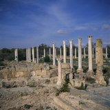 Columns of Hellenistic Gymnasium, Salamis, North Cyprus Photographie par Christopher Rennie