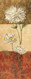 Cosmos and Squares Prints by Silvia Vassileva