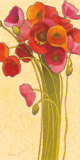 Amapola Barcelona I Poster by Shirley Novak