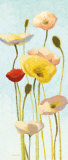 Just Being Poppies III Kunstdrucke von Shirley Novak