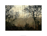 Wooded Solace II Limited Edition by Jennifer Goldberger