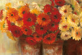Chelsea Gerberas Poster von Carol Rowan