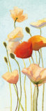 Just Being Poppies II Arte por Shirley Novak Just Being Poppies II Arte por Shirley Novak