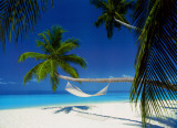 Maldives Island - Hammock Posters