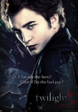 Twilight Posters