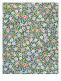Clover Wallpaper, Paper, England, Late 19th Century Wydruk giclee autor William Morris Clover Wallpaper, Paper, England, Late 19th Century Wydruk giclee autor William Morris