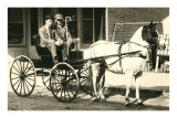 Two Men in Pony Cart Pósters