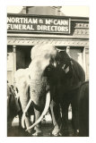 Elephants by Funeral Parlor Posters