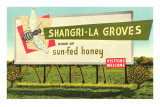 Honey Billboard Pósters Honey Billboard Pósters