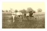 Man in Horse-Drawn Carriage in Grass Poster