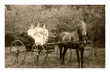 Three Women in Horse-Drawn Buggy Prints