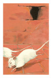 Fleeing White Mice Pósters