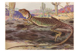 Striped-Neck Lizard in Desert Poster