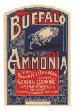 Buffalo Ammonia Photographie