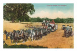 Combined Header and Thresher Láminas