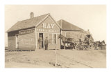 The Hay Store Print