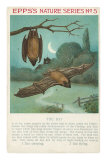 Facts About Bats Kunstdrucke