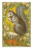 Squirrel in Pine Cones Poster