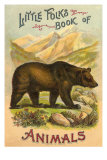 Bear on Book Cover Prints