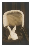Rabbit in Pram Prints
