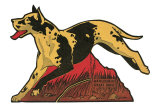 Harlequin Great Dane Prints