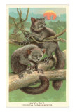 Aye-Ayes Posters