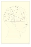 Lines on the Head Posters