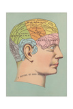 Phrenology Chart of Head Posters