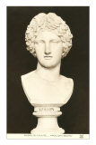 Bust of Apollo Photographie