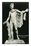 The Belvedere Apollo Poster