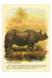 Rhinoceros Prints