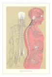 The Nervous System Affiches