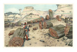 Hopi Indian in Petrified Forest, Arizona Pósters