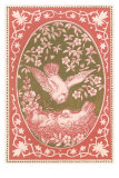 Valentine with Dove Family Photo