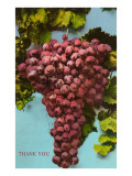 Thank You, Bunch of Grapes Print