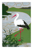 Stork by River Posters