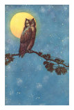 Owl with Full Moon Prints